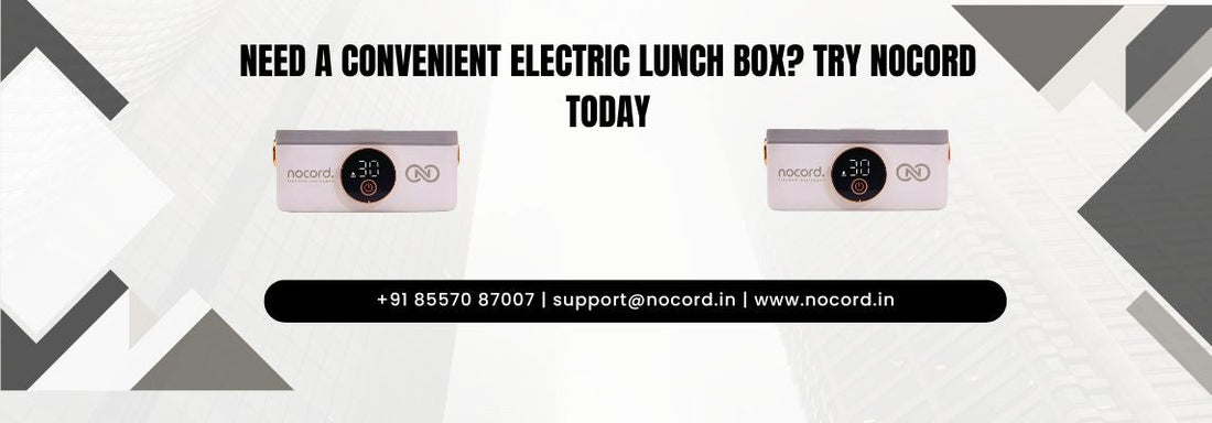 Electric Lunch Box