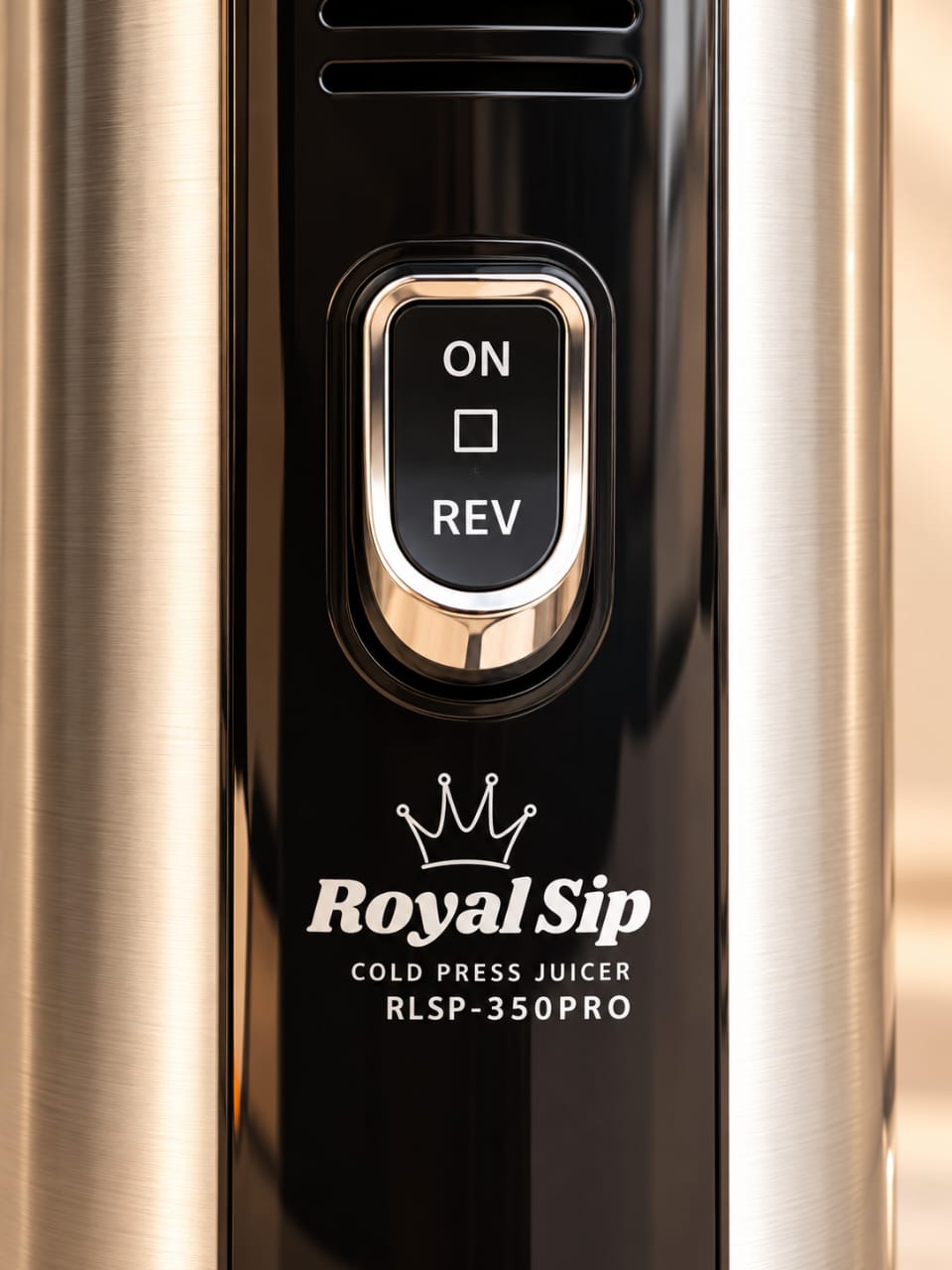 ROYALSIP RLSP-350PRO Cold Press Juicer – 350W Stainless Steel Slow Juicer 40% OFF